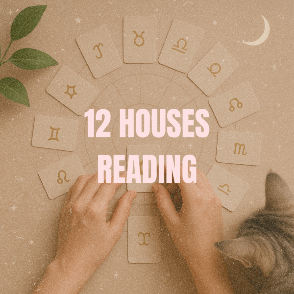 12 Houses reading