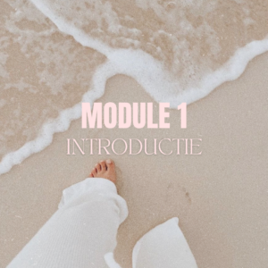Introductie | Module 1