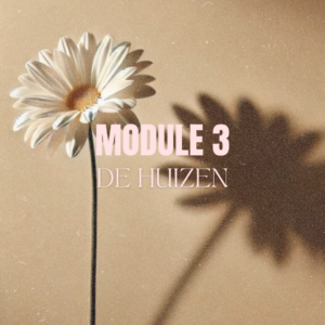 De Huizen | Module 3