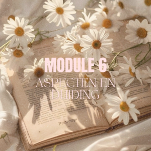 Aspecten & Duiding | Module 6